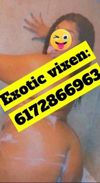 6172866963, female escort, Worcester